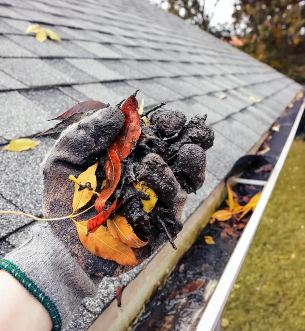 gutter cleaning service near me 028